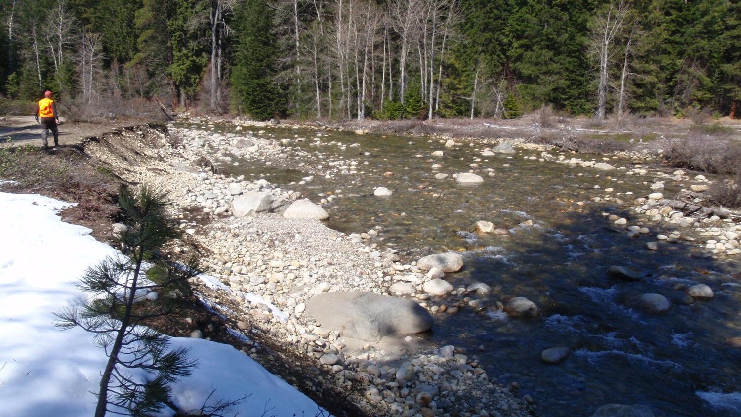 Nason Creek Reach